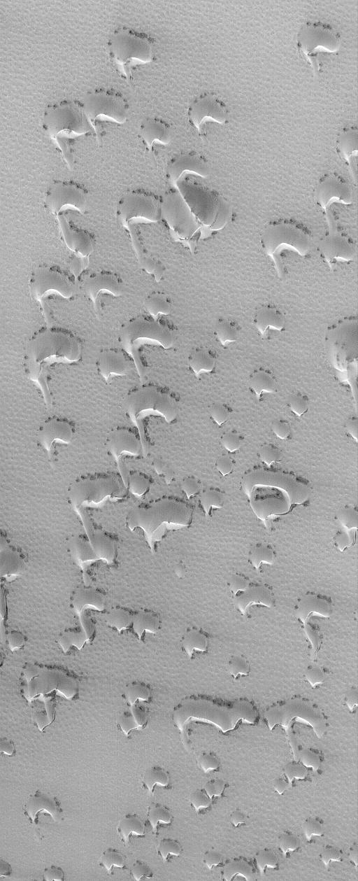 Crescent (Barchan) Dunes