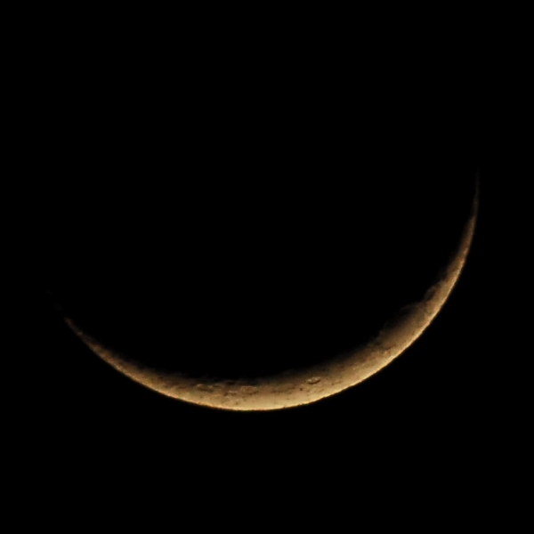 2010_02_16 New moon and stars 024