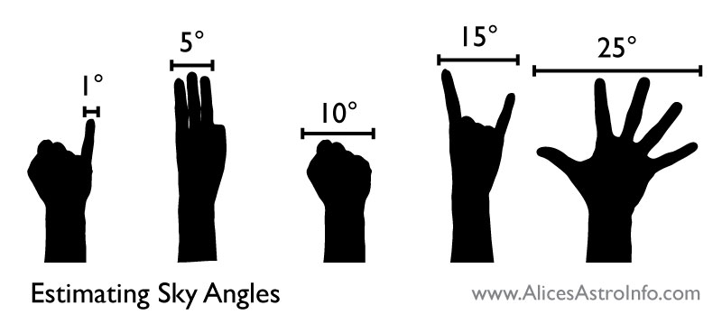 Hold your hand at arms' length. This works for any size hands, but only if you completely extend your arm.
