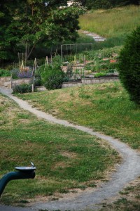 The trail up to the overlook, through the P-Patch